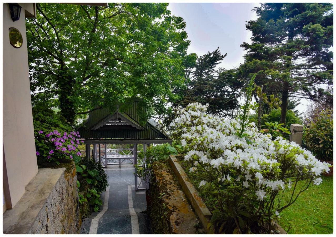 Cedar Inn Darjeeling  Exterior photo